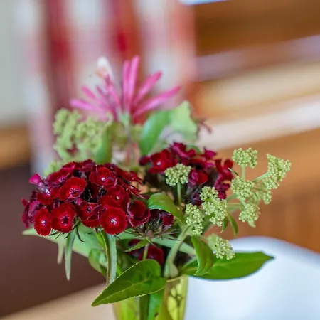 Apparthaus Taxegger Guest house 4*