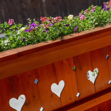 Guest house Apparthaus Taxegger Haus im Ennstal