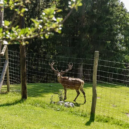 Apparthaus Taxegger Guest house