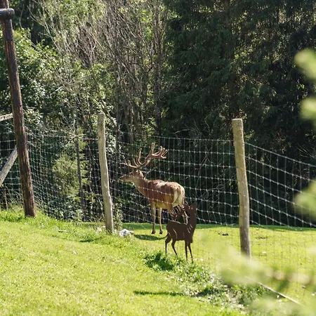 Apparthaus Taxegger 4*