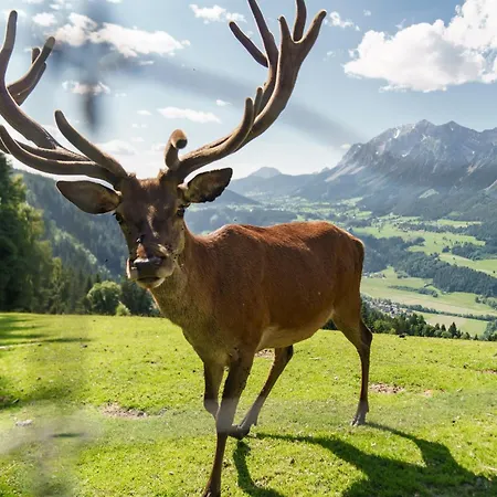 Guest house Apparthaus Taxegger 4*