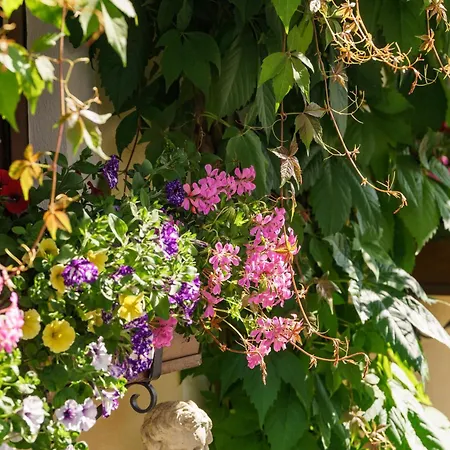 Apparthaus Taxegger 4* האוס