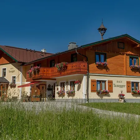 Apparthaus Taxegger Guest house Haus im Ennstal