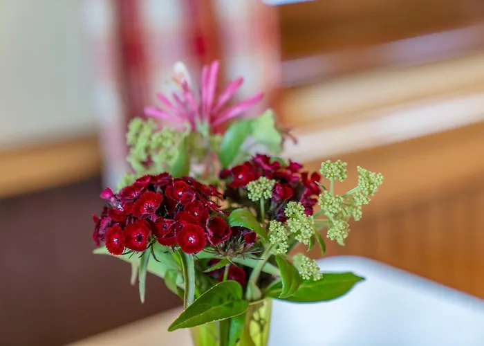 Apparthaus Taxegger Guest house 4*