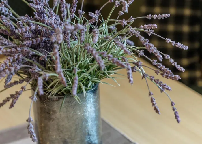 Apparthaus Taxegger Pensión