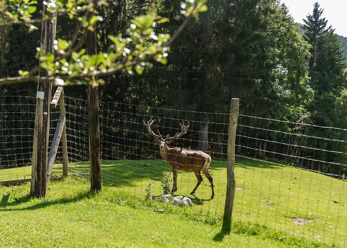 Apparthaus Taxegger Guest house