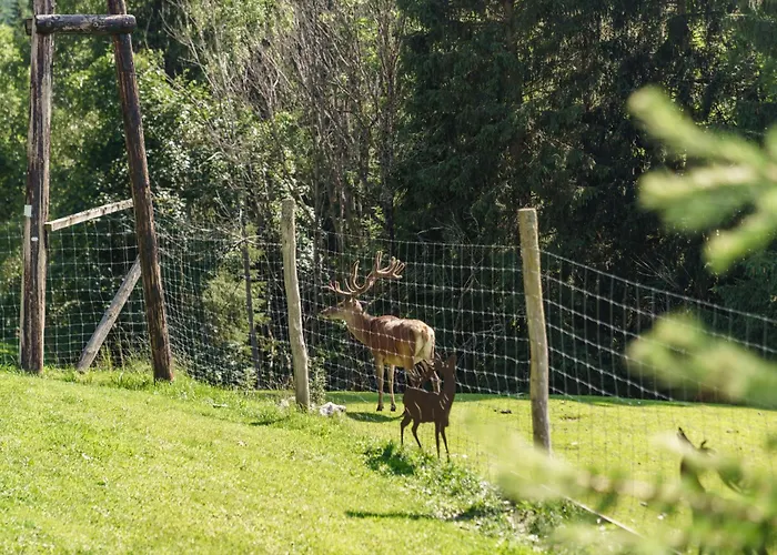 Apparthaus Taxegger 4*