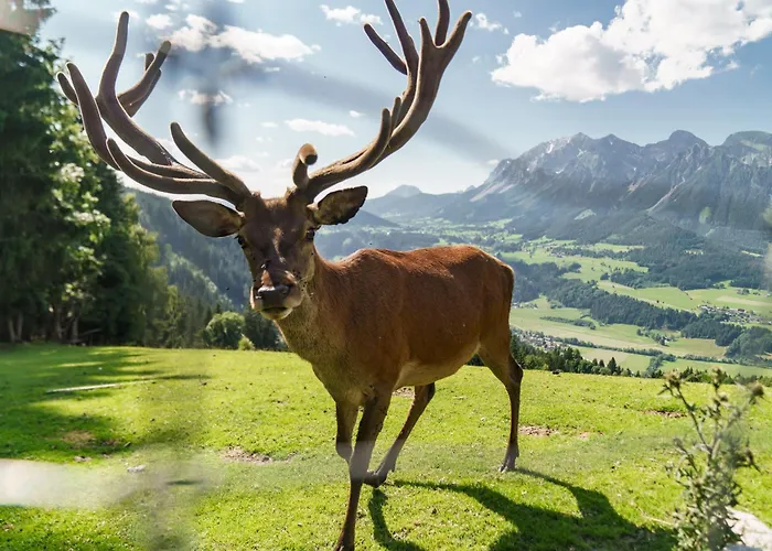 Guest house Apparthaus Taxegger 4*