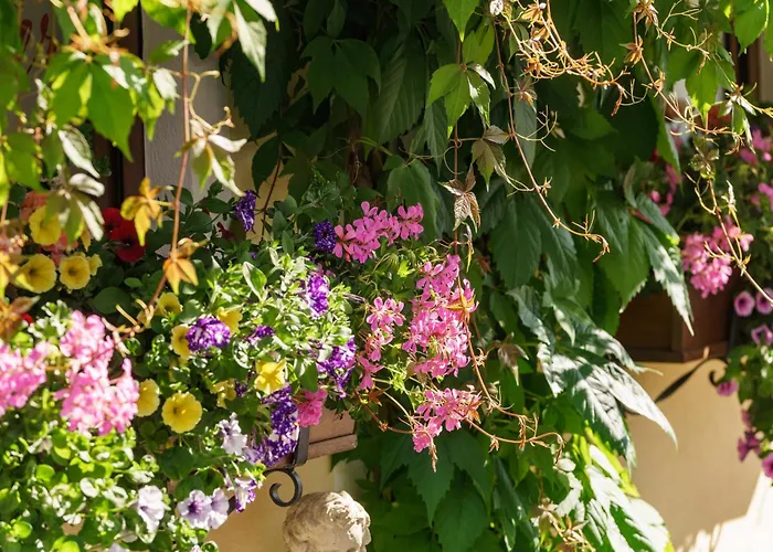 Apparthaus Taxegger 4* Haus im Ennstal