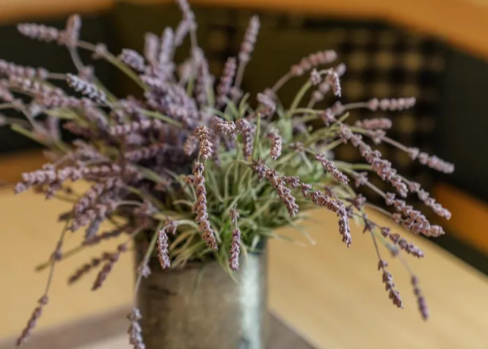 Apparthaus Taxegger Haus im Ennstal